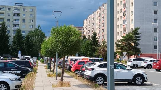 Zvolen, Central Park, Alexandra Nográdyho