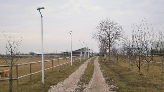 Oľdza, Village Farm, príjazdová komunikácia a parkovisko