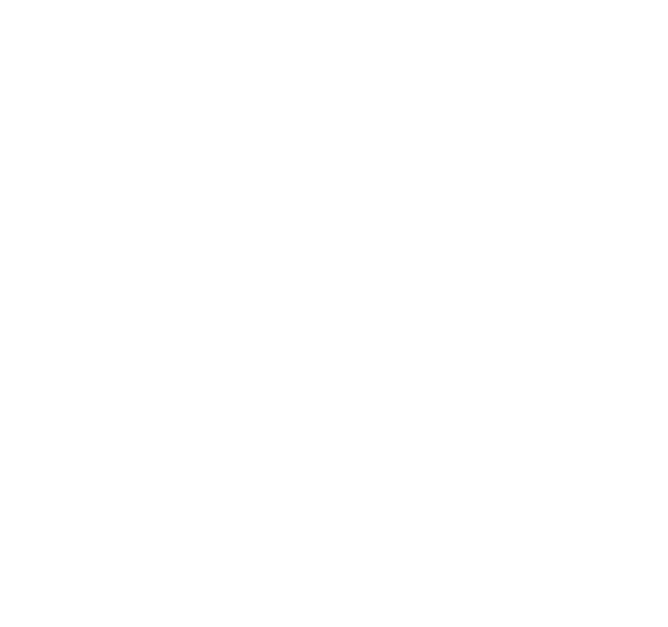Pema logo biele
